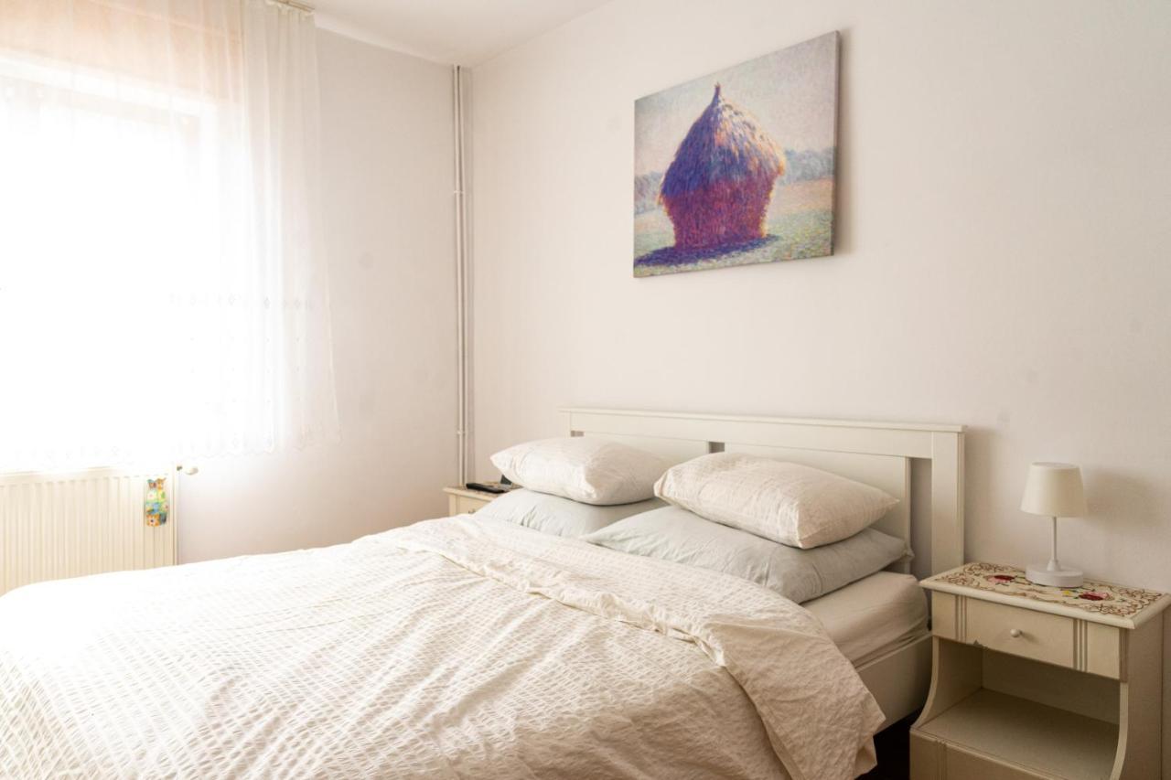Generous Family Home Vişeu de Sus المظهر الخارجي الصورة