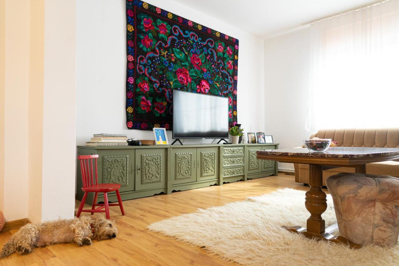Generous Family Home Vişeu de Sus المظهر الخارجي الصورة