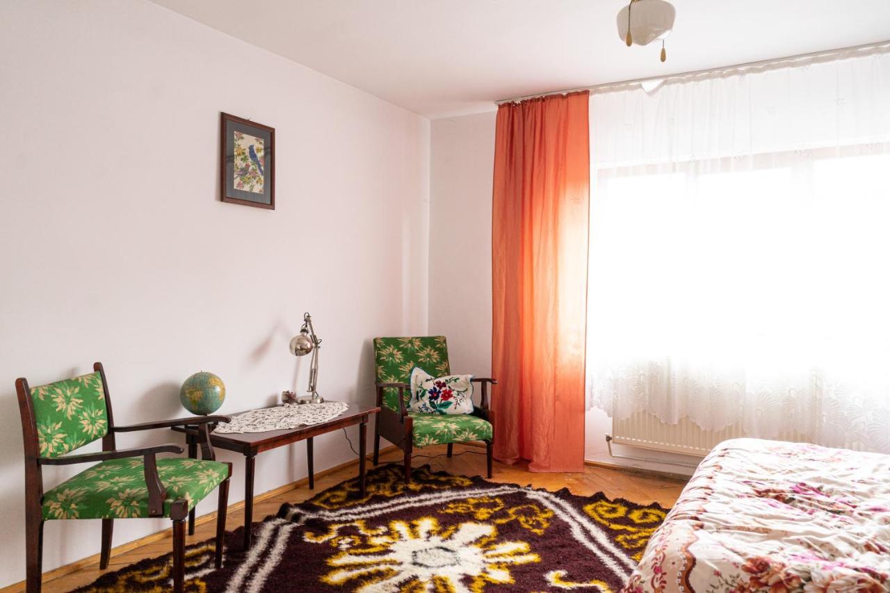 Generous Family Home Vişeu de Sus المظهر الخارجي الصورة