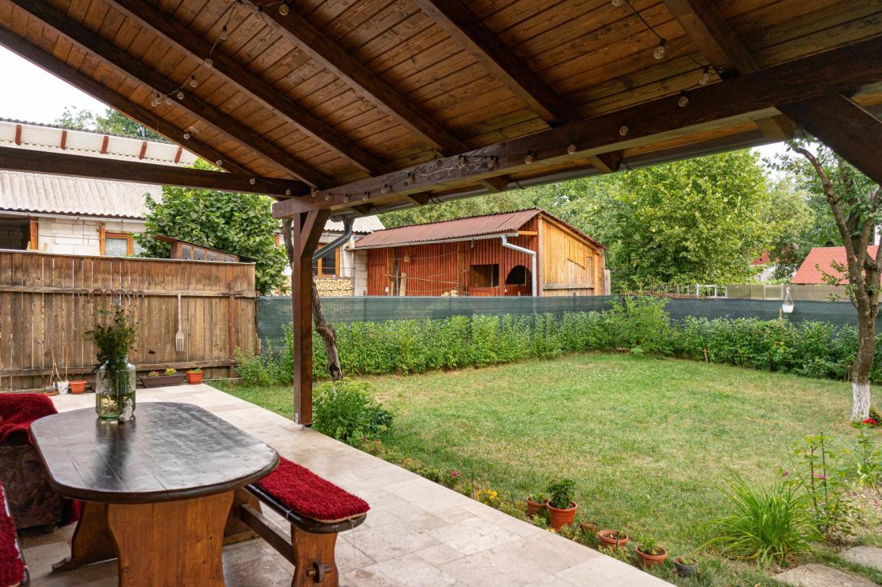 Generous Family Home Vişeu de Sus المظهر الخارجي الصورة